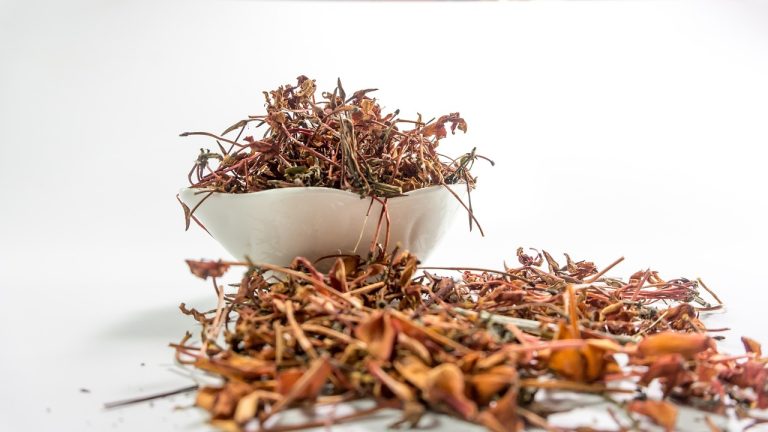 Unlocking Wellness: Exploring Ancient Egyptian Remedies